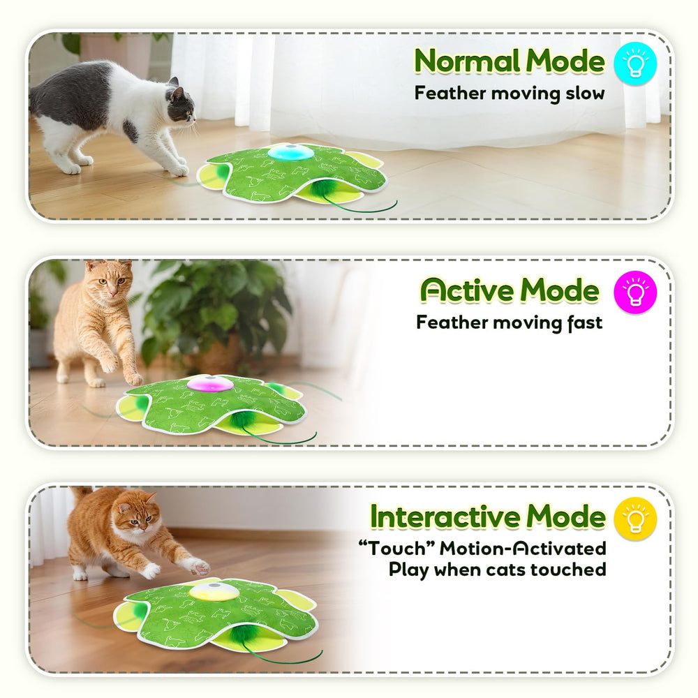 Saolife hide-and-seek action toy promotes indoor exploration.