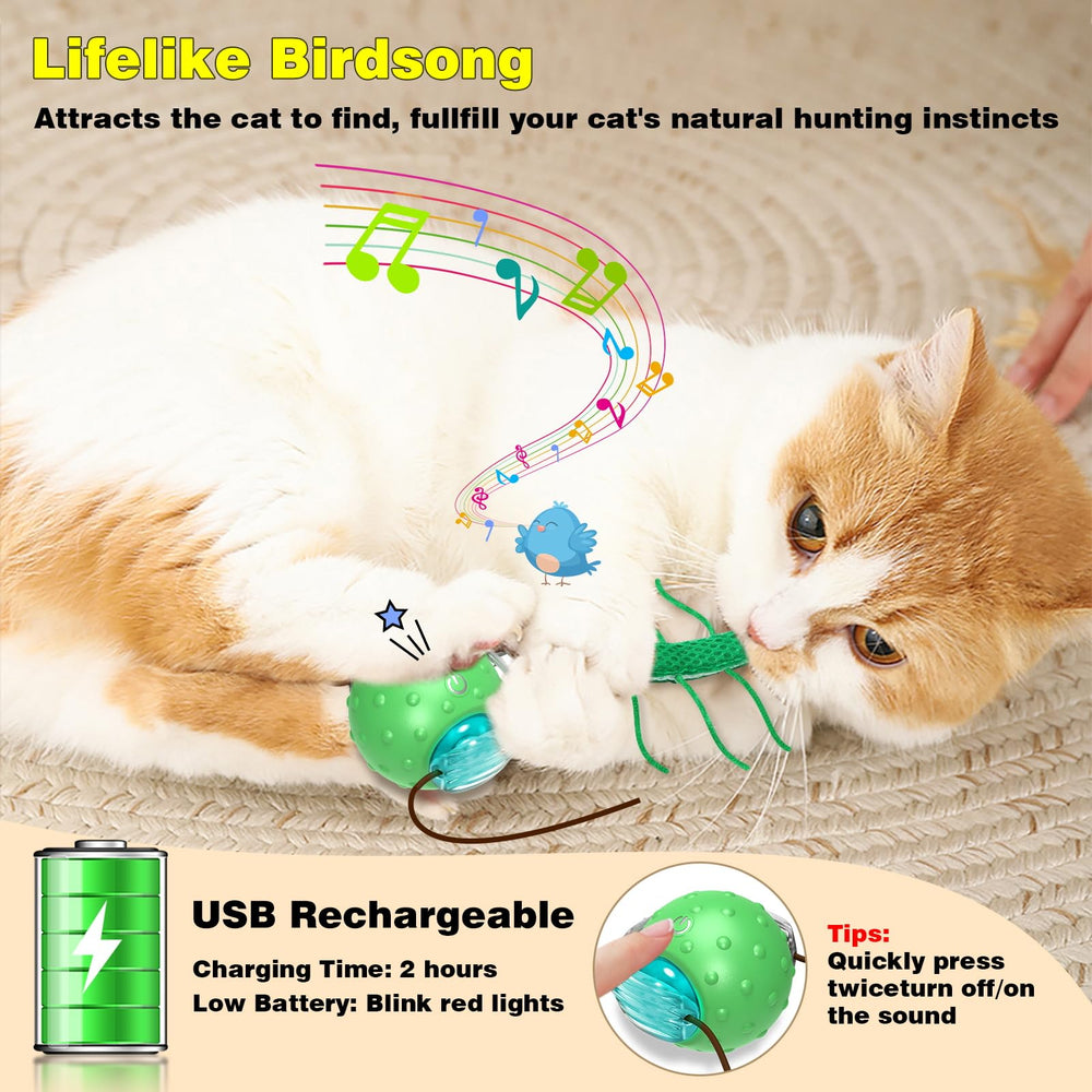 Saolife interactive cat ball bird sound close-up illustrates chirping cues to spark curiosity.