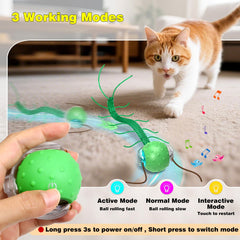 Saolife interactive cat ball rolling on carpet shows versatile performance on floors.