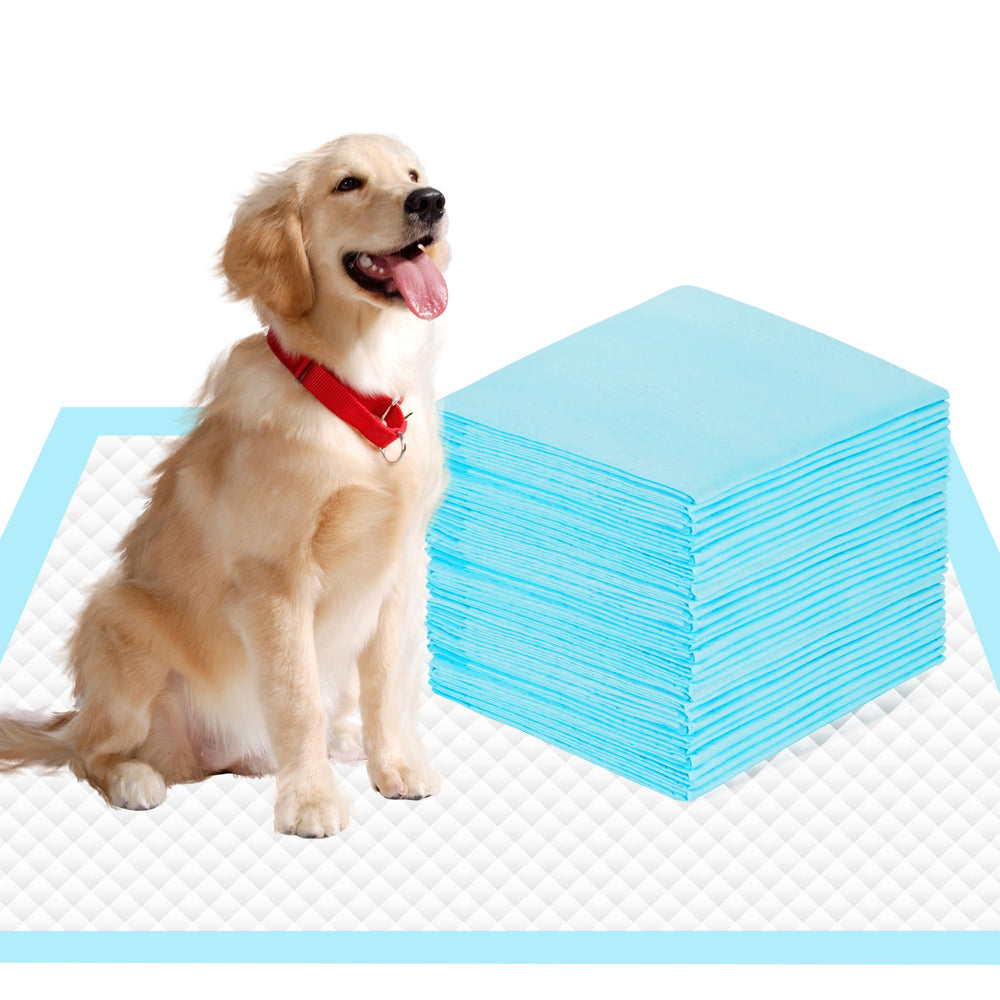 SAP FRIENDLY 22x23 pee pad with 6-layer protection for moisture control during training.