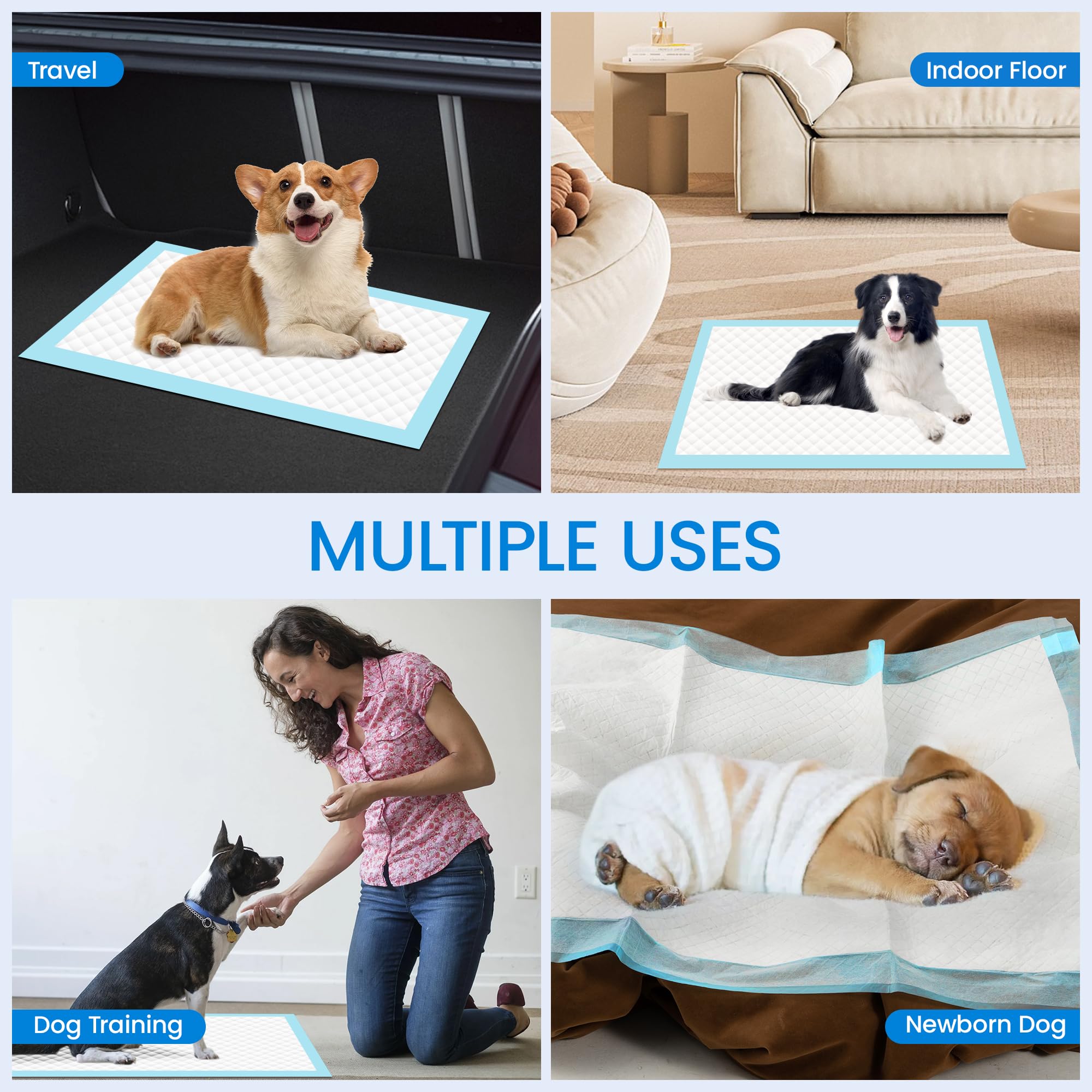 SAP FRIENDLY disposable dog pads 10-count for indoor and outdoor use.