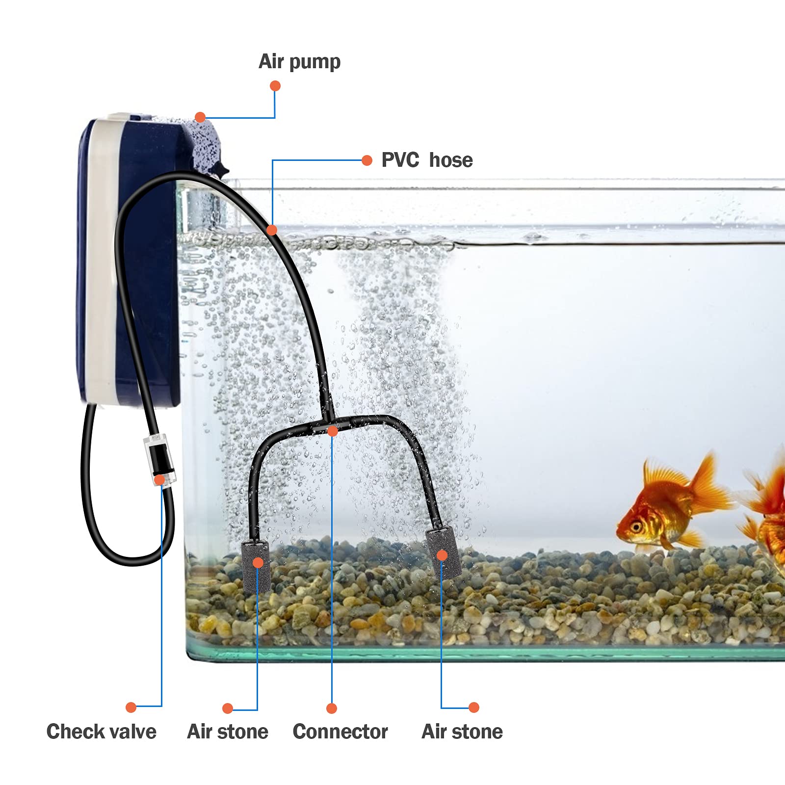 Saricho complete setup ideas for freshwater and saltwater tanks using the set