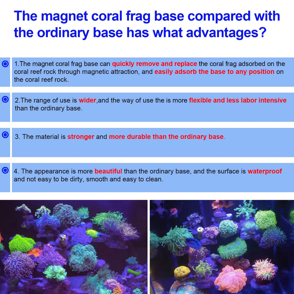 Saricho coral frag base purple round surfaces simplify reef maintenance