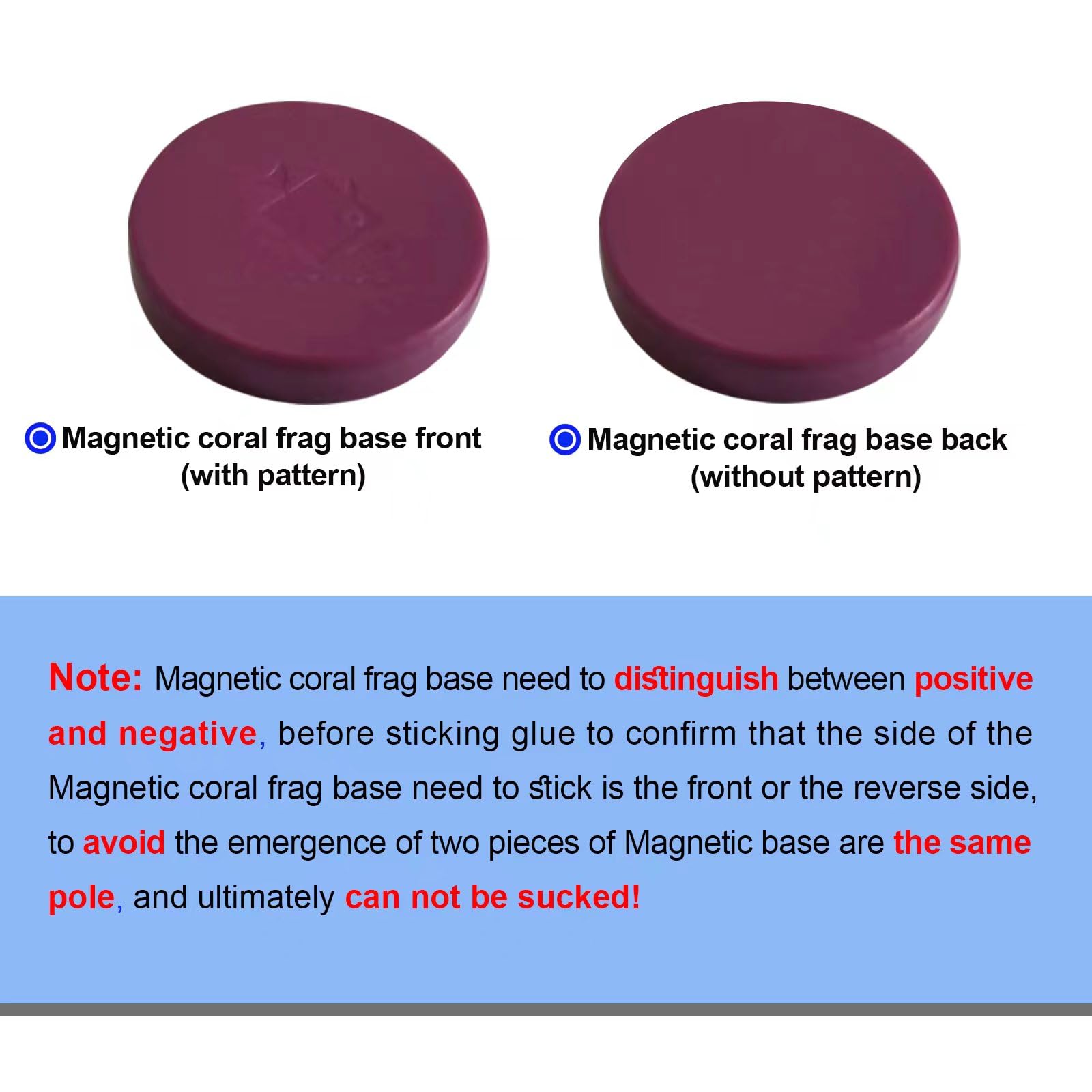 Saricho coral frag magnetic base purple round top view emphasizes aesthetic appeal and clean surface