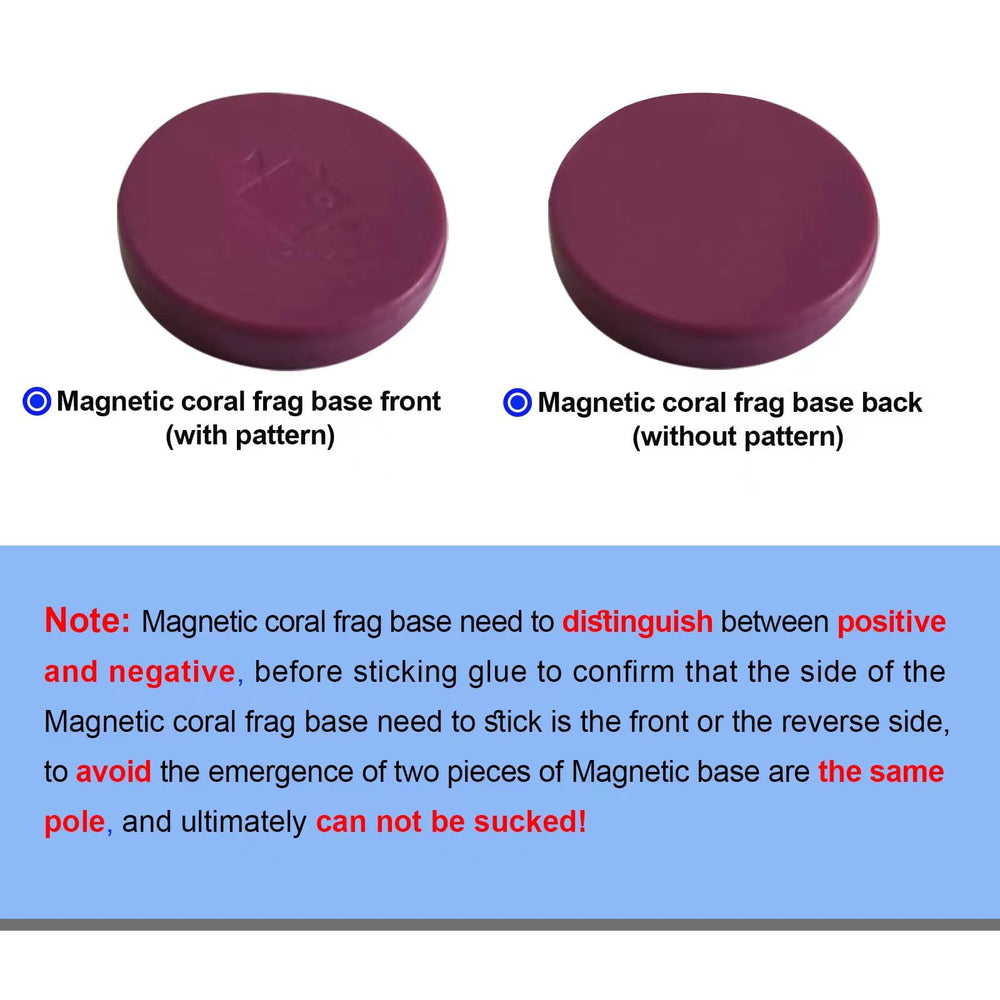 Saricho coral frag magnetic base purple round top view emphasizes aesthetic appeal and clean surface