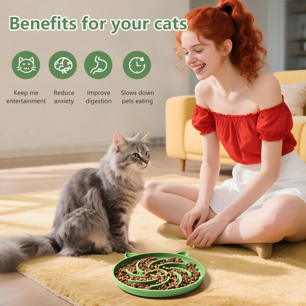 Sarnxgr green-blue slow feeder bowl with vibrant colors to attract cats.