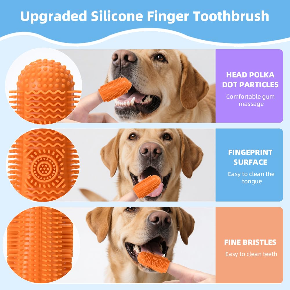 Sarnxgr head with dots gently massaging gums during brushing sessions