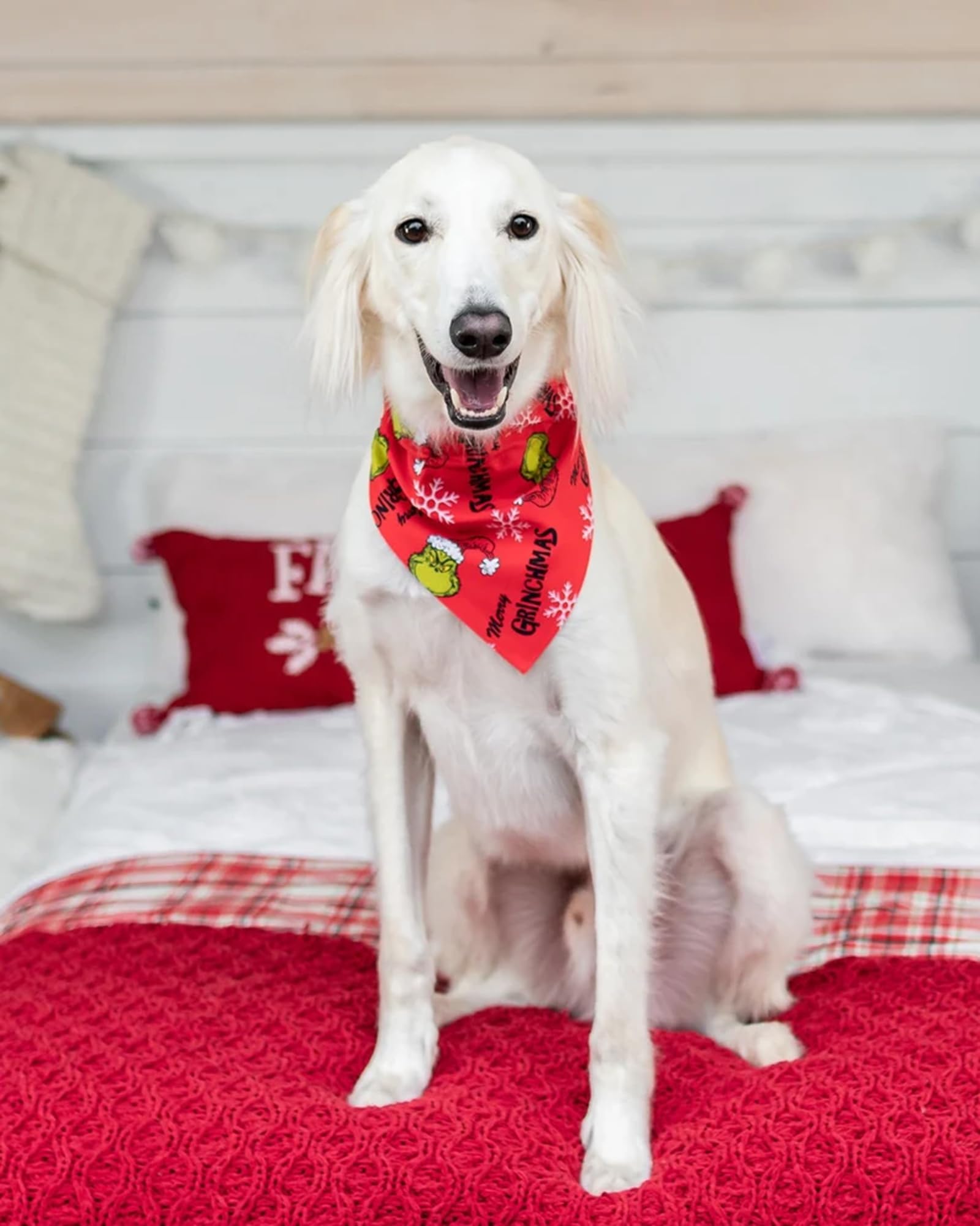 Sarybei adjustable dog bandana fits necks up to 20 inches
