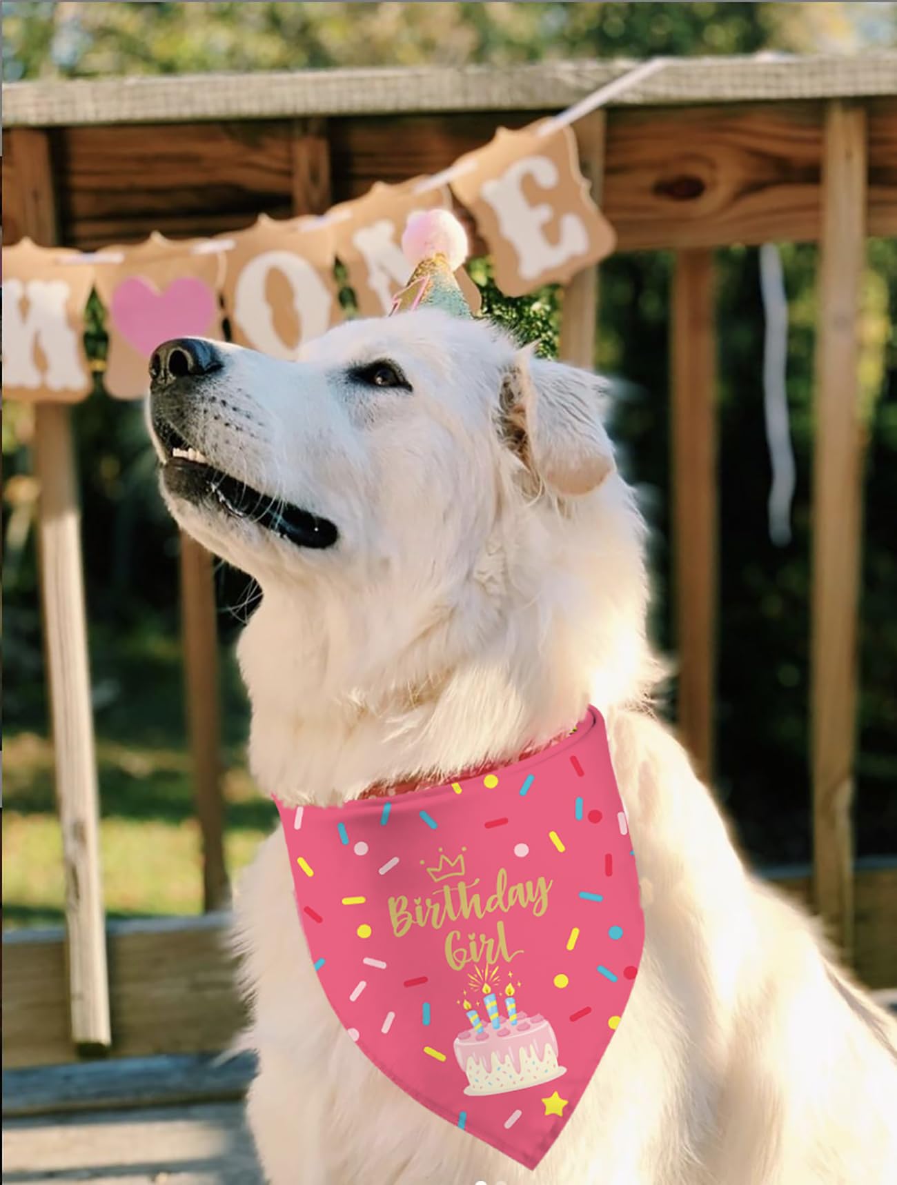 Sarybei Bandana in a birthday party scene captures memorable photos