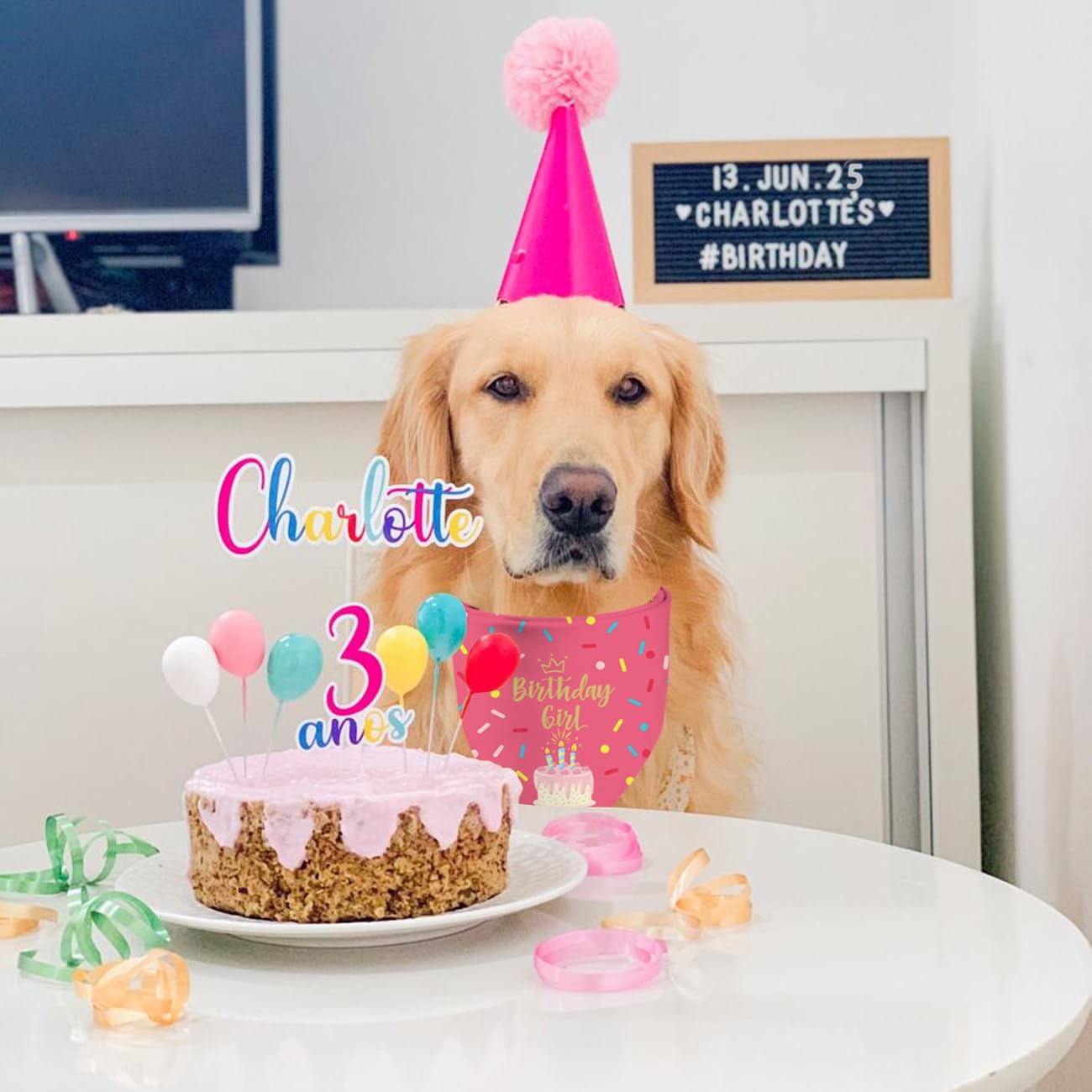 Sarybei Birthday Bandana on dog wearing for cute photos