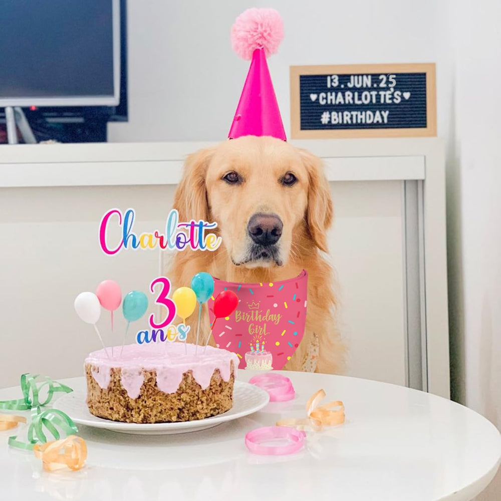 Sarybei Birthday Bandana on dog wearing for cute photos