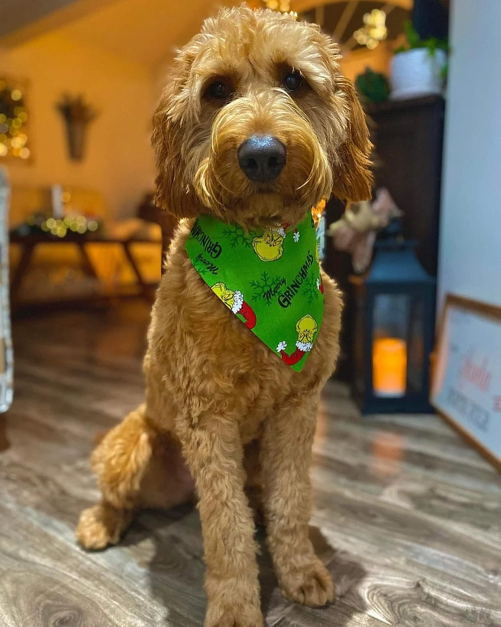 Sarybei Christmas bandana set enhances holiday outfits and comfort