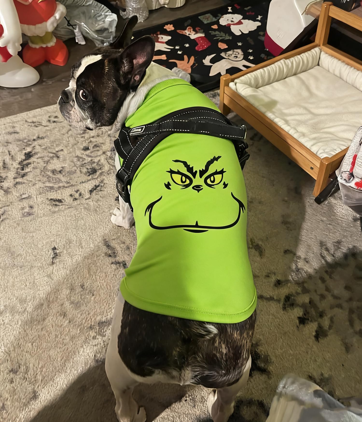 Sarybei Christmas Dog Shirt gift-ready packaging hints at holiday gifting.