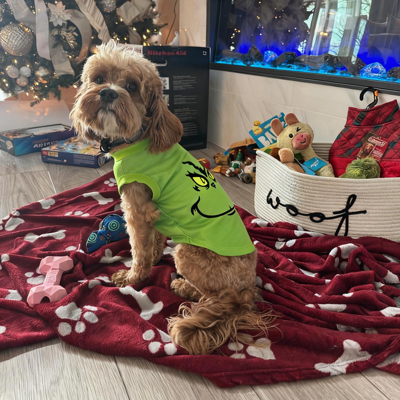 Sarybei Christmas Dog Shirt model wearing demonstrates easy pull-on design.
