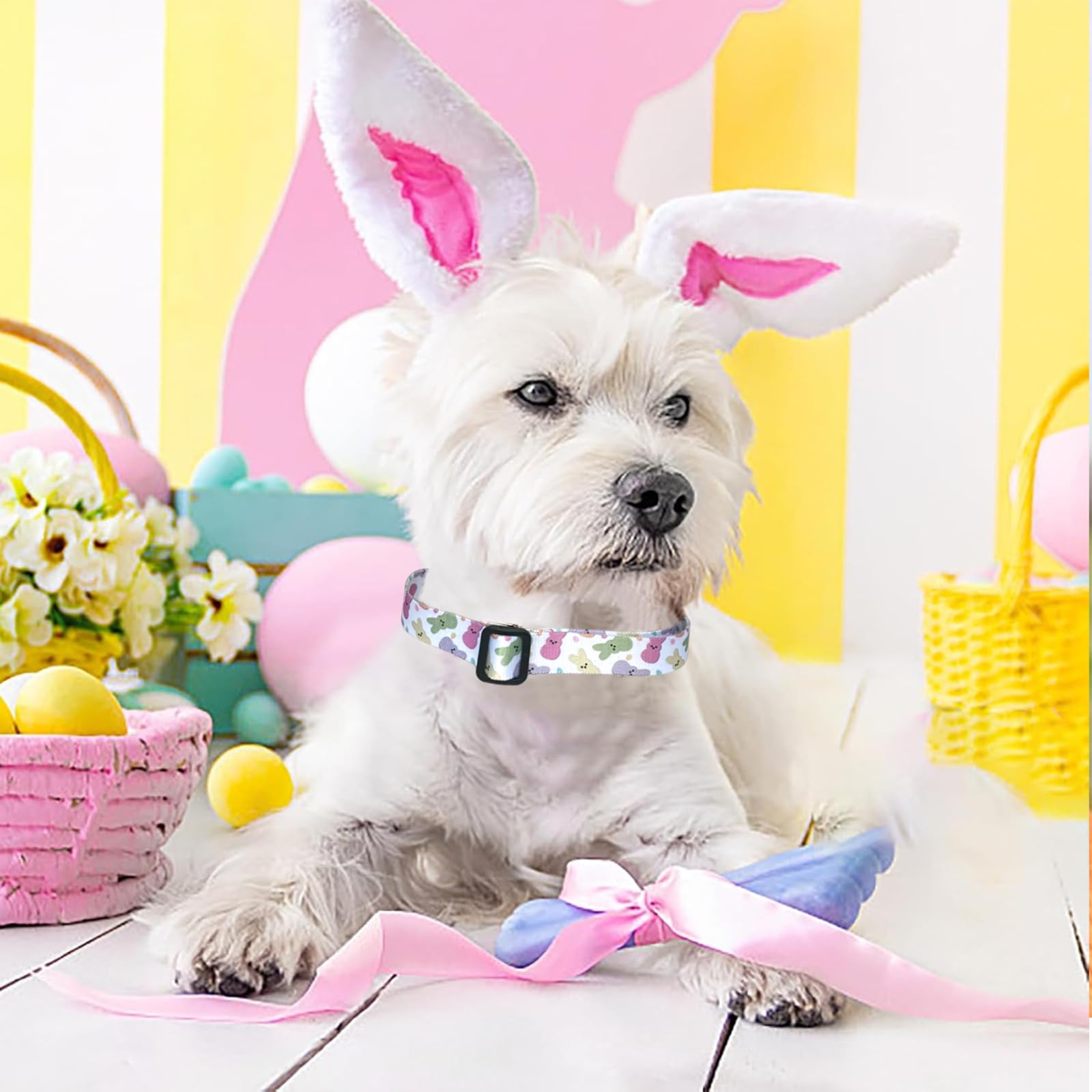 Sarybei Easter collar demonstrates adjustable 12-16 inch fit for comfy daily wear.