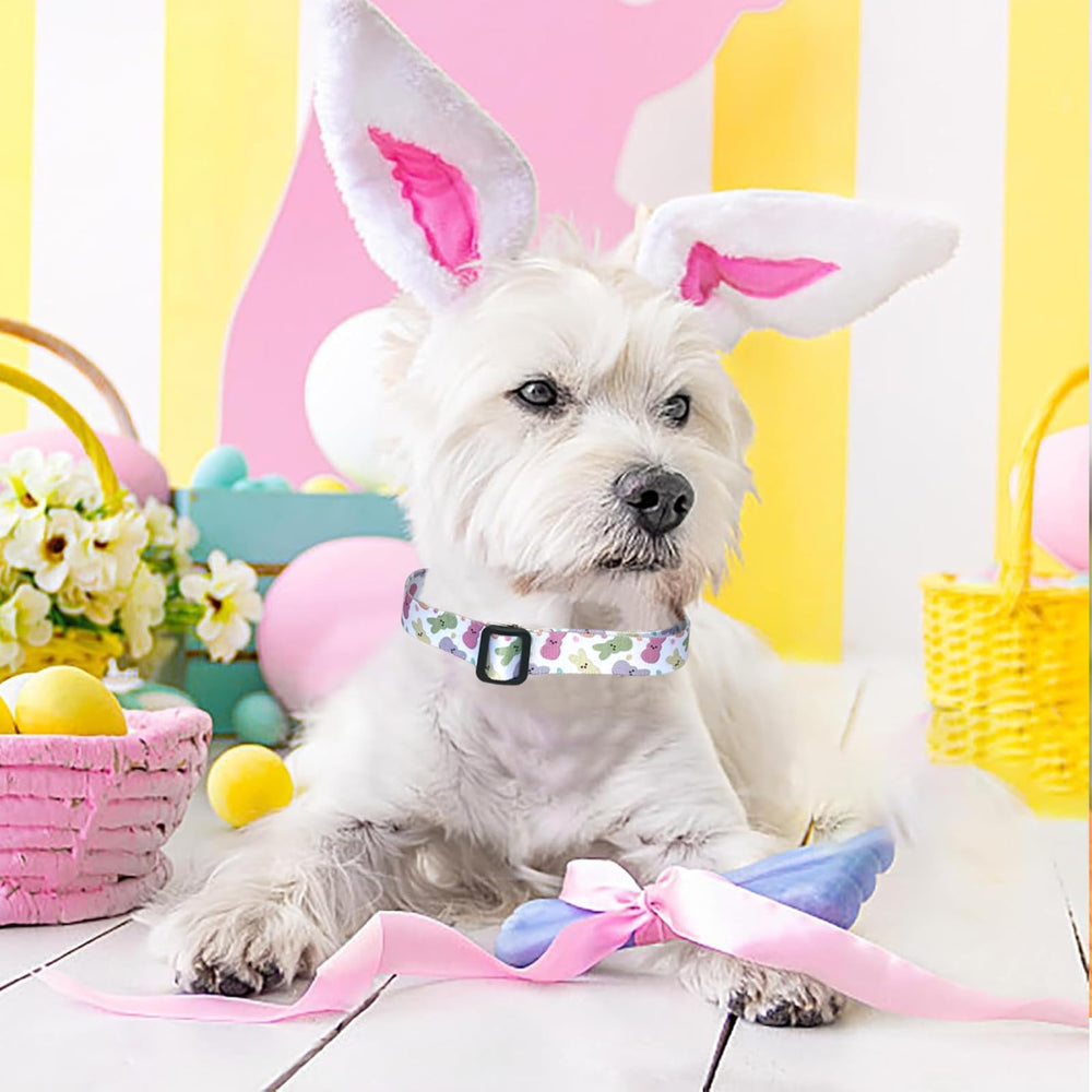 Sarybei Easter collar demonstrates adjustable 12-16 inch fit for comfy daily wear.
