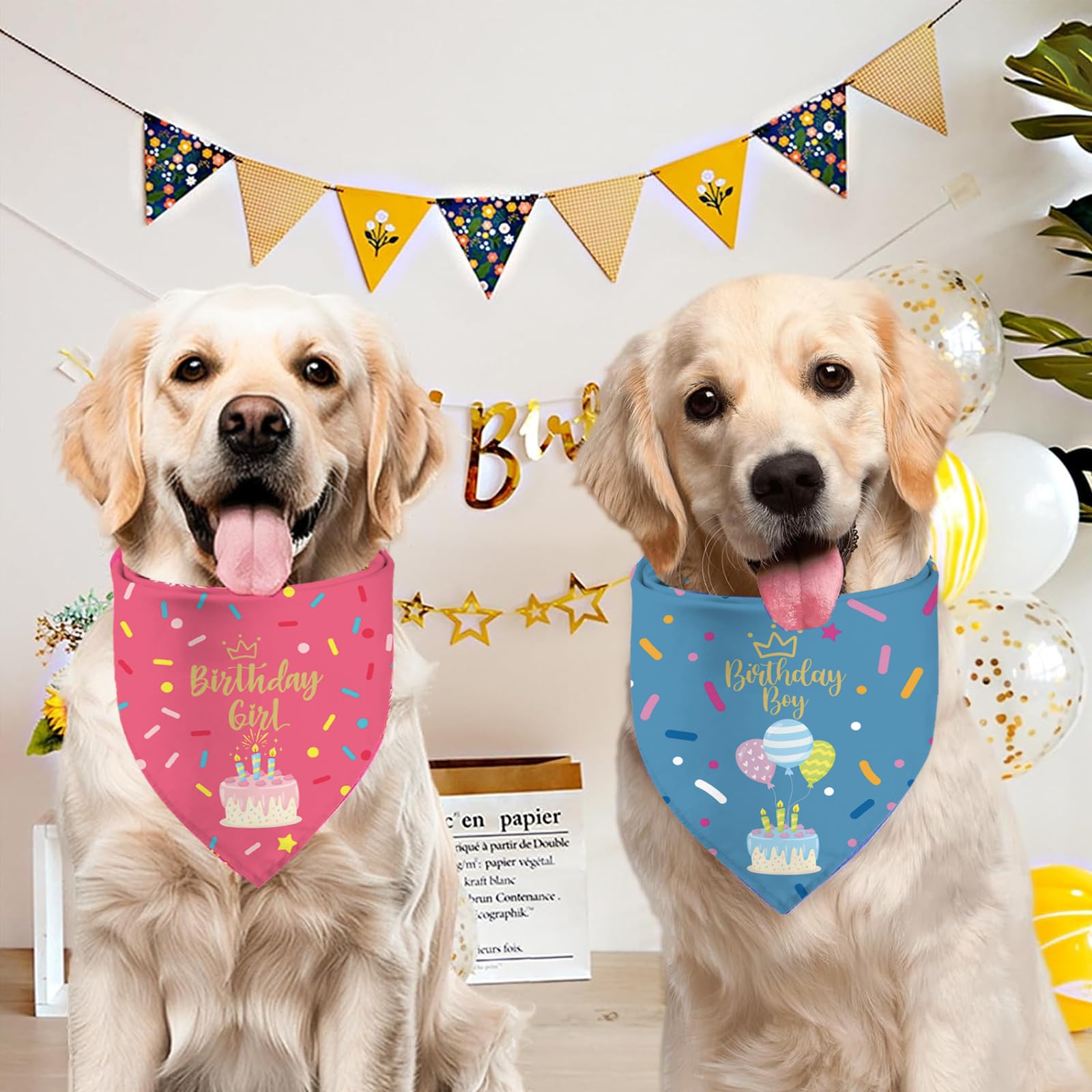 Sarybei Gift-ready birthday bandana presentation suits dog lovers