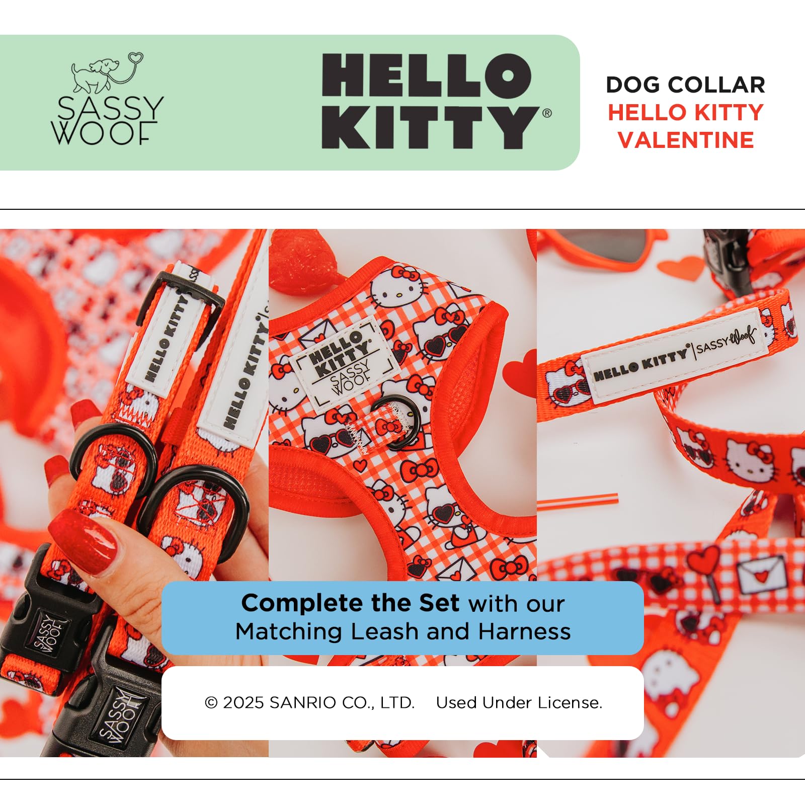 Sassy Woof complete set image featuring matching harness, leash, and waste bag holder for cohesive style.