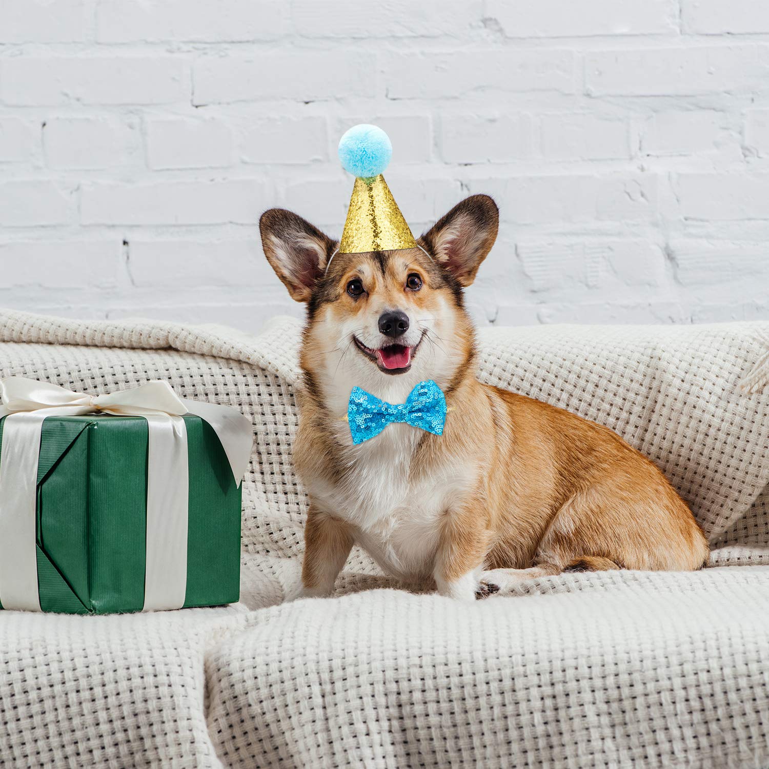 SATINIOR Style A bright colors design for pets