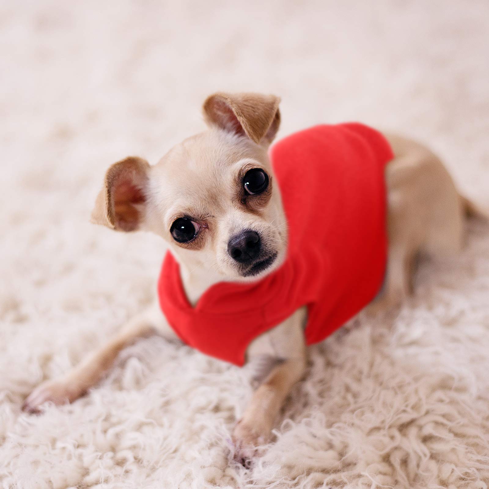 SATINIOR dog sweater with D-ring leash compatibility supports easy outings.