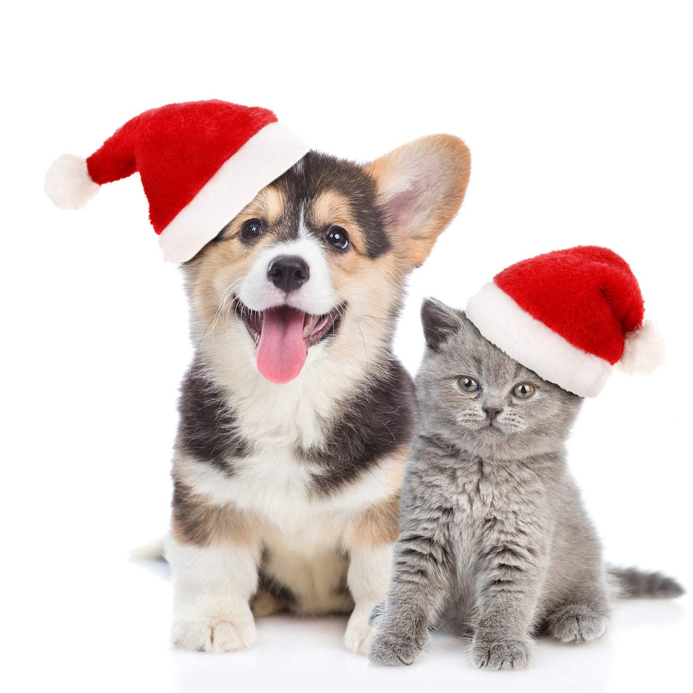 SATINIOR elastic-band Santa hats fit most cats and small dogs