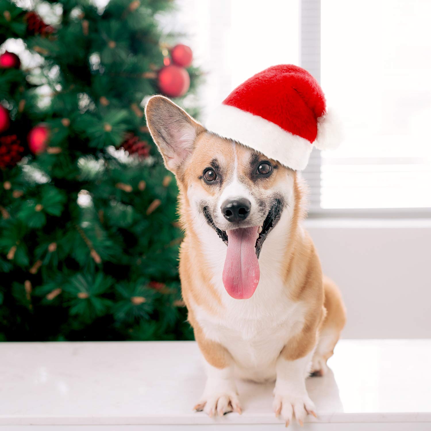 SATINIOR holiday photo props and gift idea for pet lovers