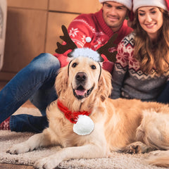 SATINIOR pet plaid scarf showcases classic Christmas style in photos or day-to-day wear
