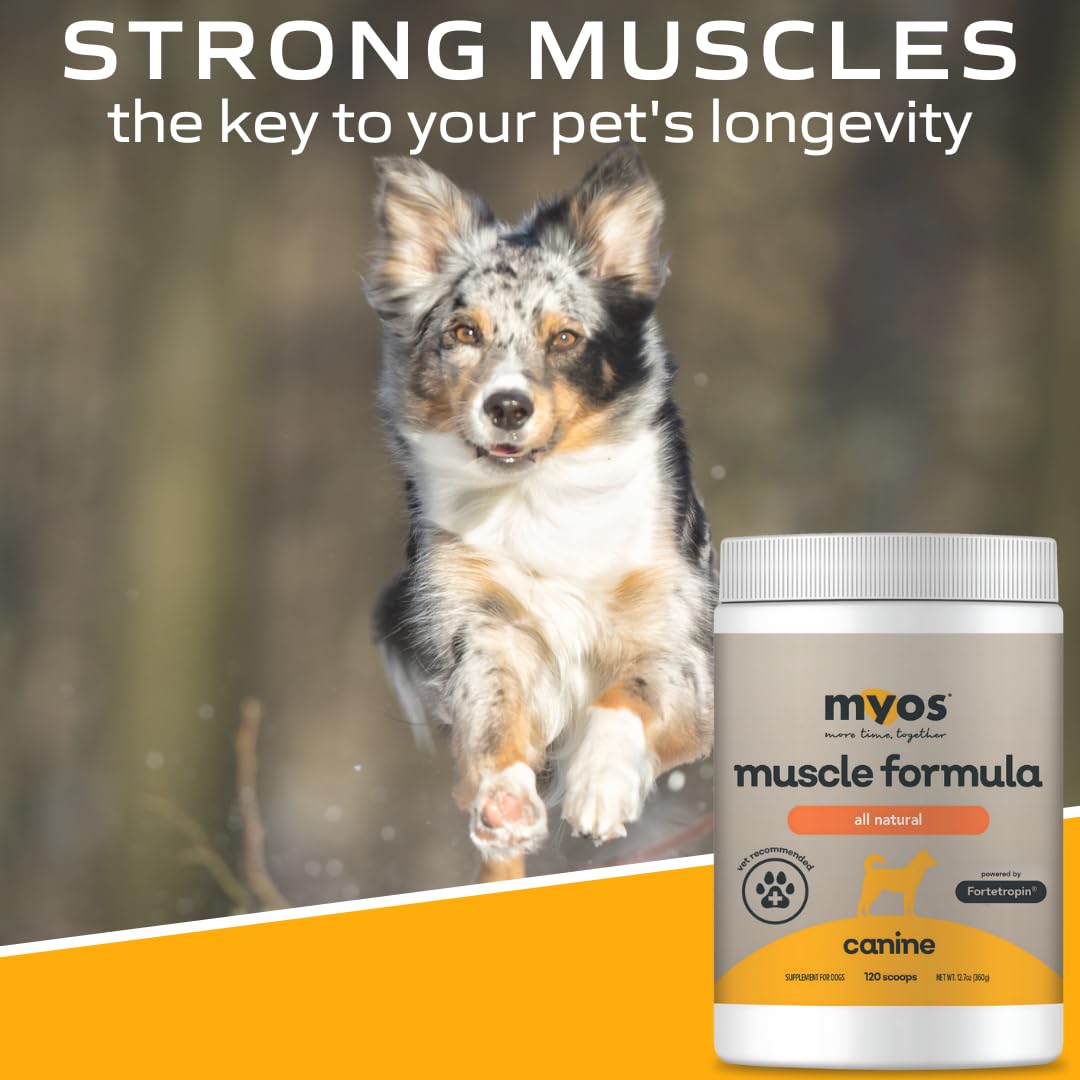 MYOS satisfaction guarantee banner for pet owners
