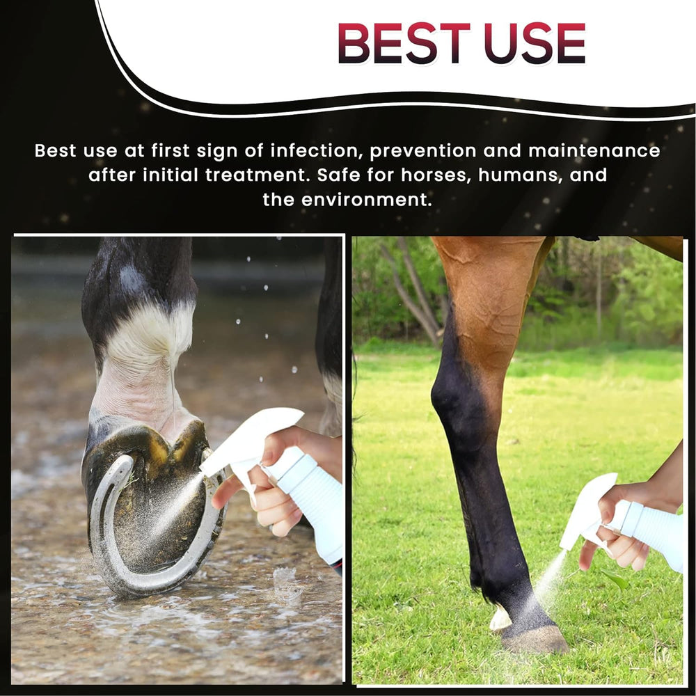 SAV-A-HOOF SBS Equine Spray in action on hoof wall, delivering protection.