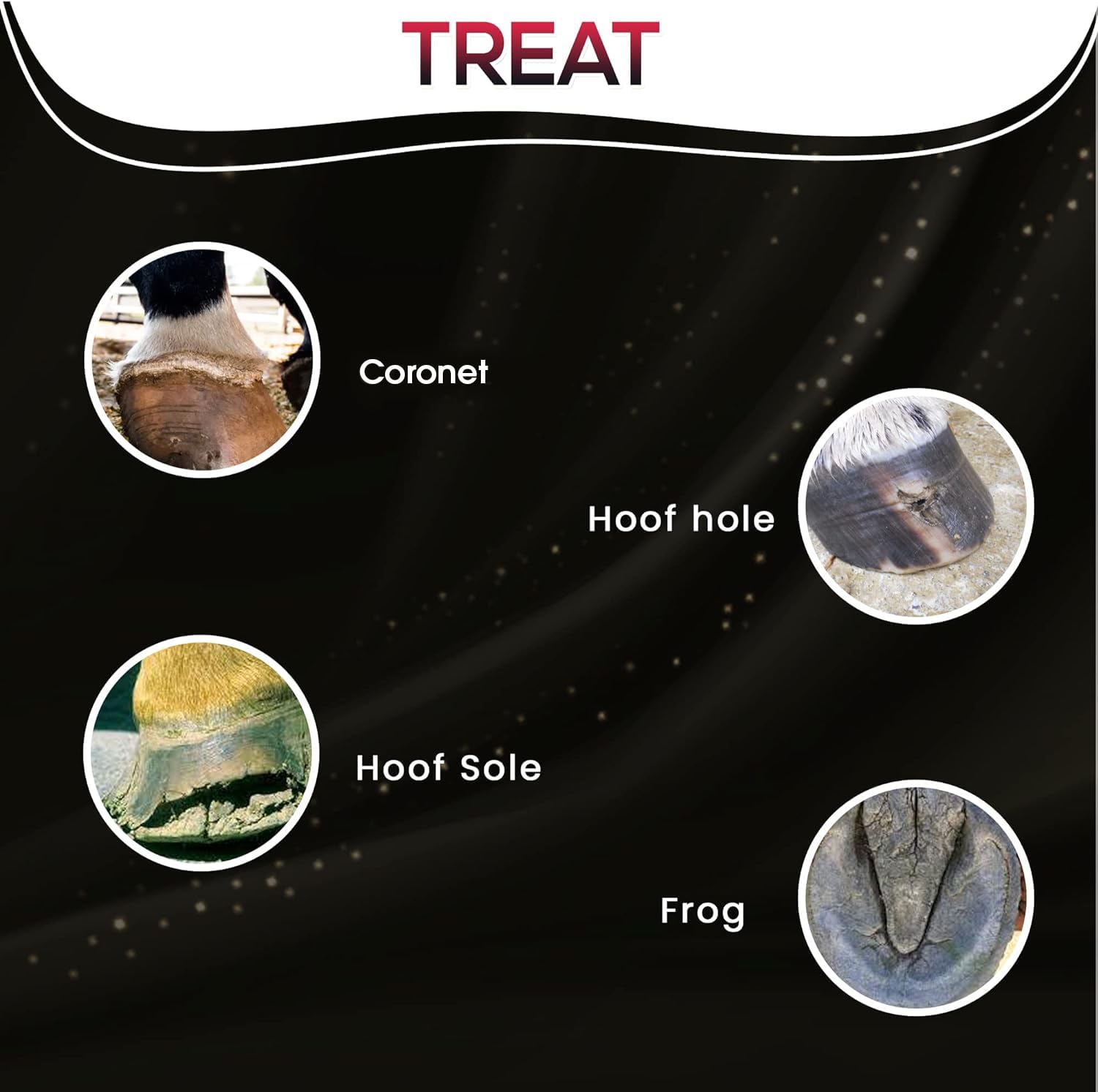 SAV-A-HOOF SBS Equine Spray on coronet area showing easy-to-apply formula.
