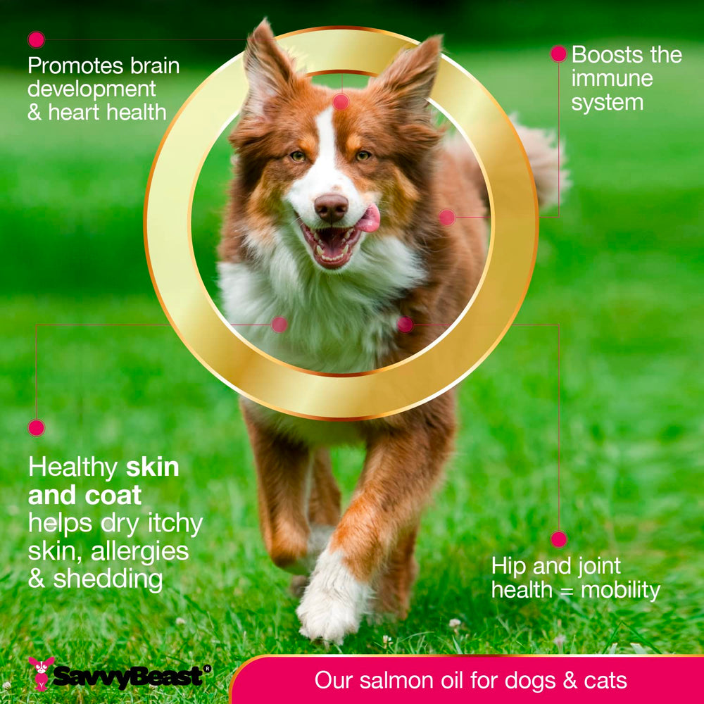 SavvyBeast salmon oil for dog meals enables easy supplementation