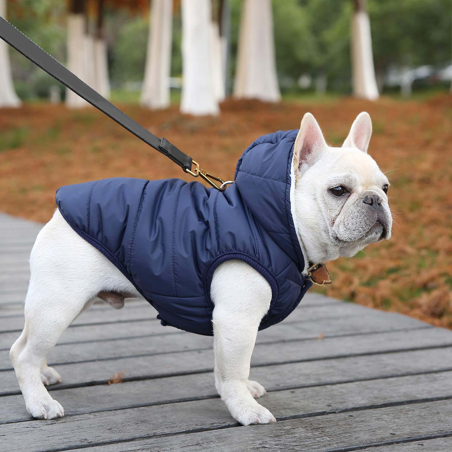 SAWMONG seven sizes available for dog winter coat blue