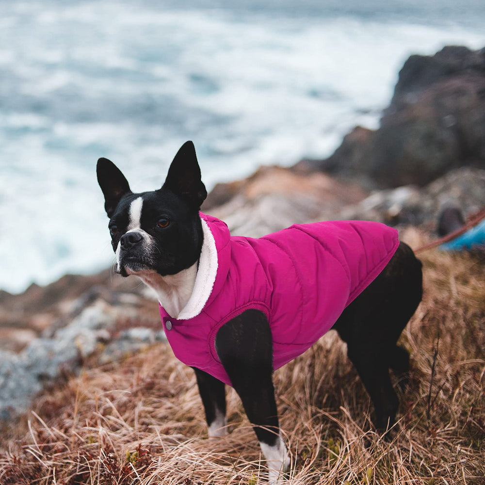 SAWMONG 4D-cutting design keeps your dog comfortable and unrestrictive during movement
