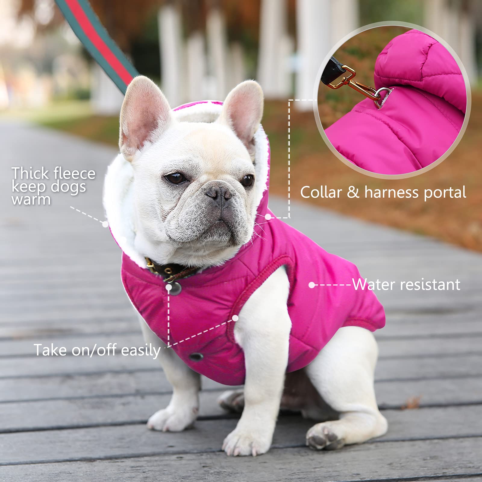 SAWMONG dog coat features elastic edges for adjustable fit at paws and hem