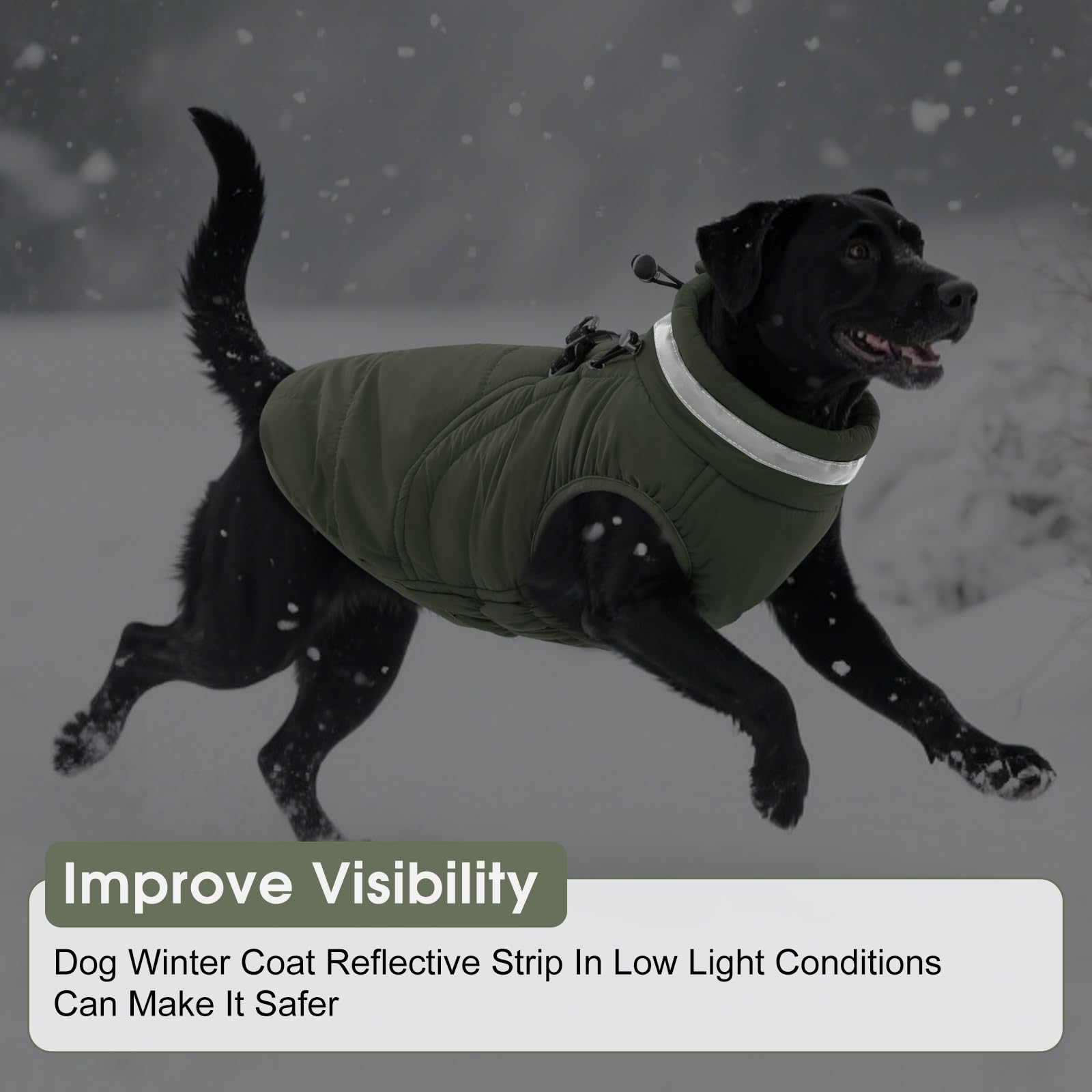SAWMONG dog coat leash hole green for secure outdoor walks