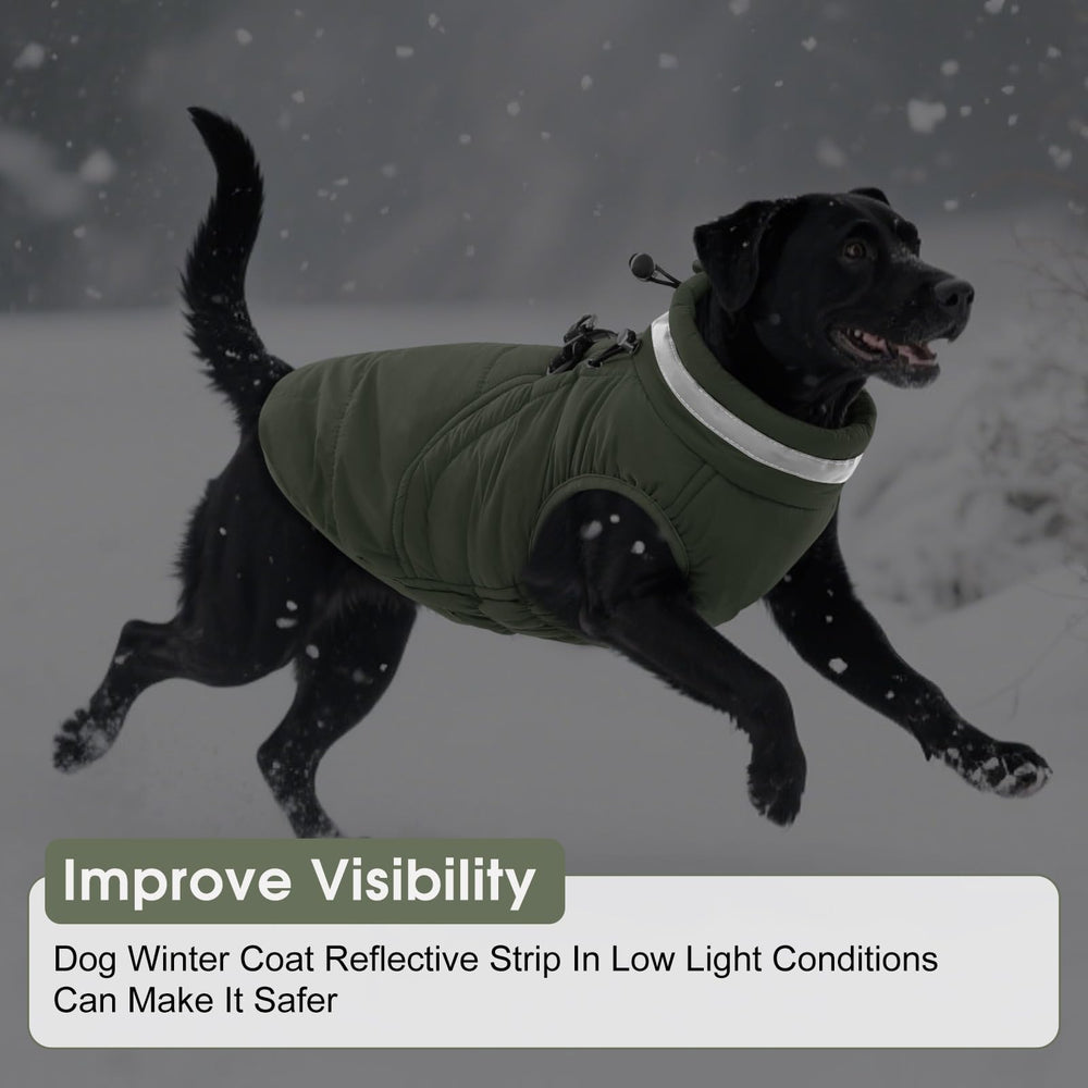 SAWMONG dog coat leash hole green for secure outdoor walks