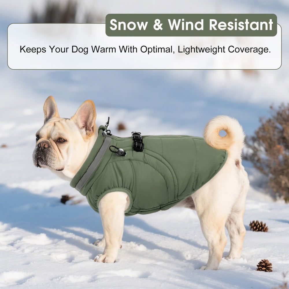 SAWMONG dog coat reflective stripe green for night safety
