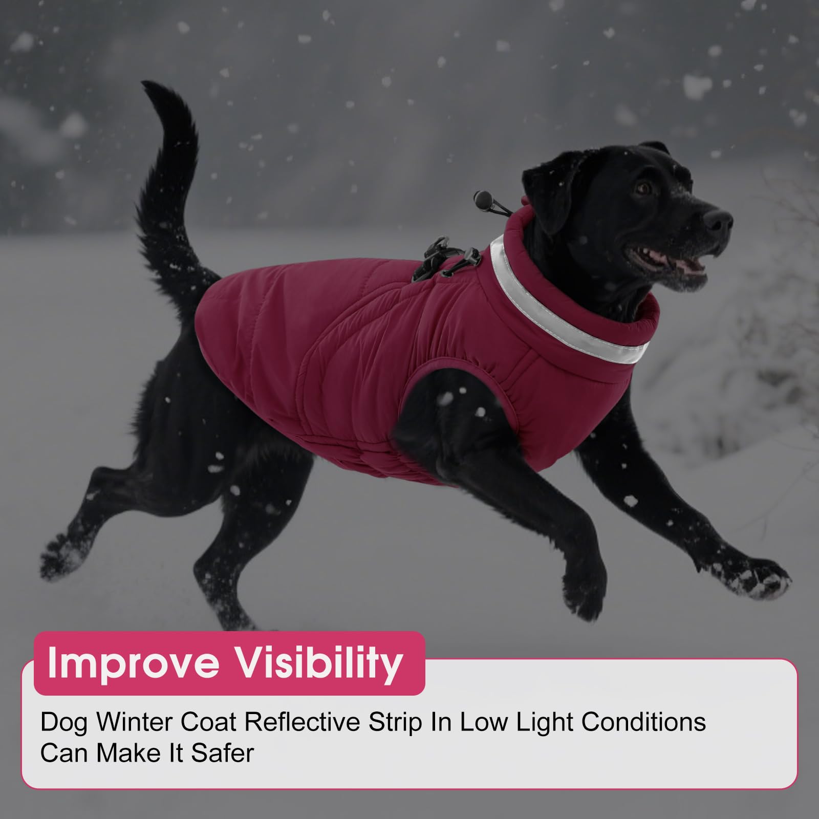 SAWMONG dog coat reflective strip enhances visibility in low light