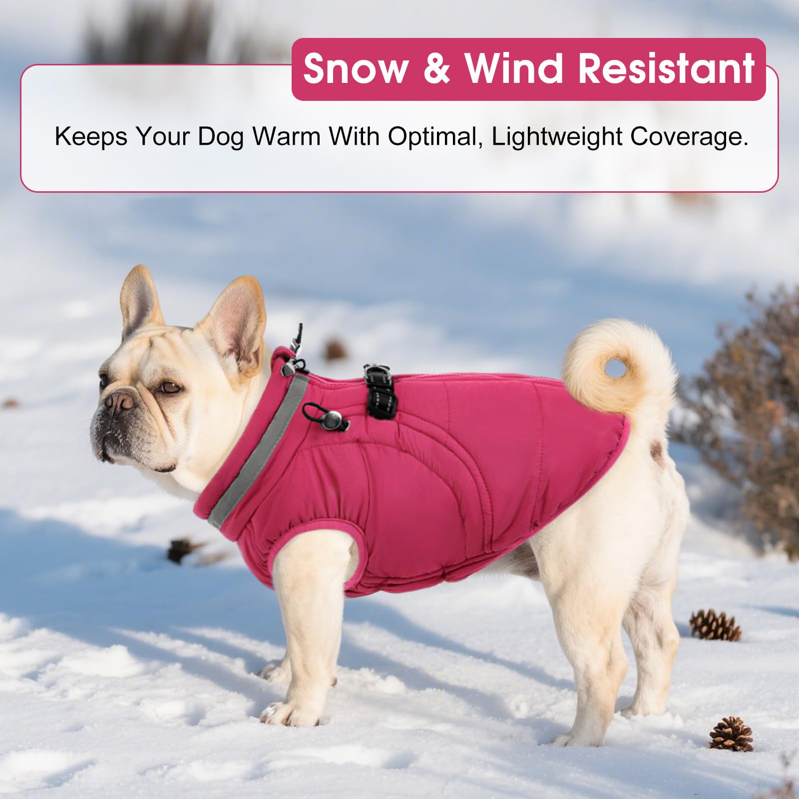 SAWMONG dog coat size chart helps choosing XS-3XL fit