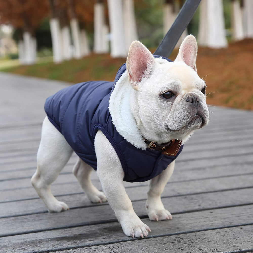 SAWMONG dog winter coat blue inside view suggests breathable warmth system
