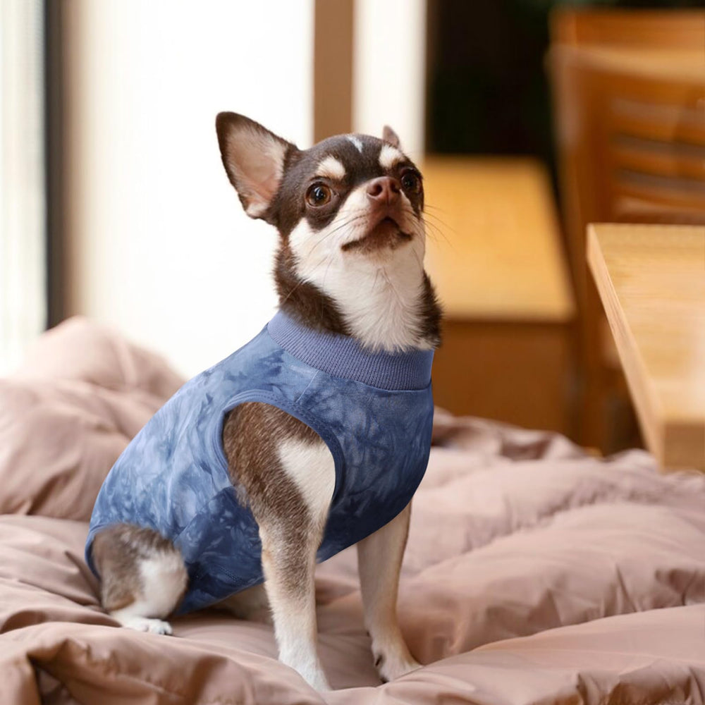SAWMONG Recovery Suit fits both male and female dogs for post-surgery wear