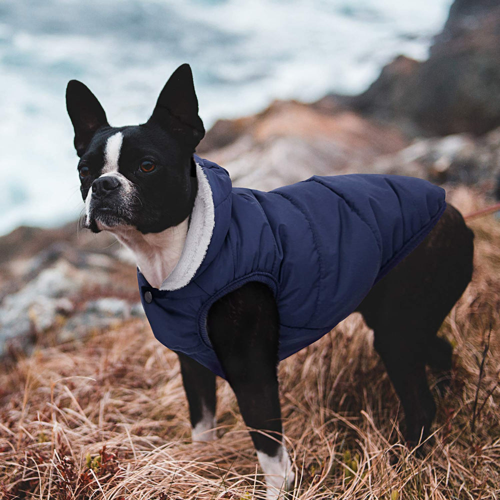 SAWMONG windproof dog coat 3D-cut view highlights non-bulky movement