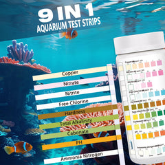 SaySummer dipping strip into water for quick hands-on testing
