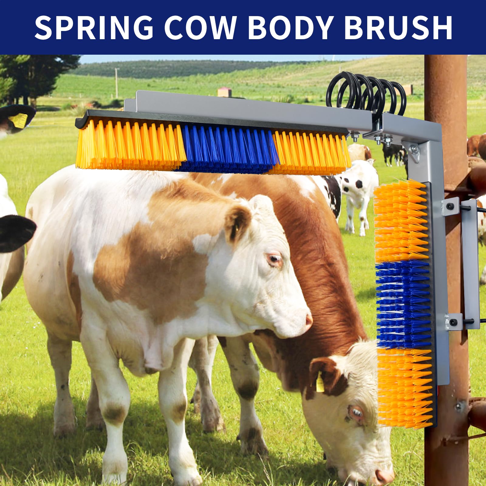 Sayutie back-scratching brush for cows in action; effective dirt removal and coat maintenance.