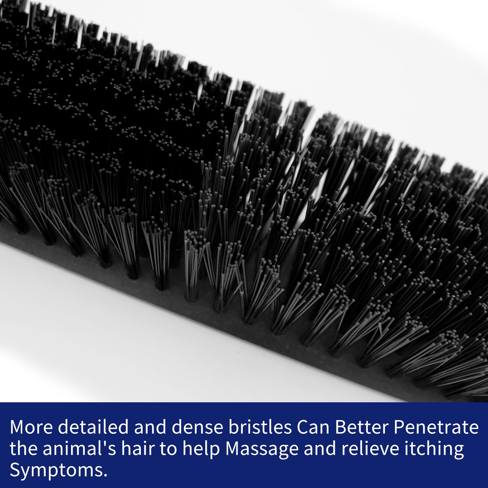 Sayutie scratch brush installation on stump demonstrates sturdy grooming for cattle