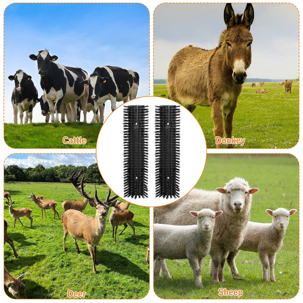 Sayutie brush usable on cattle, sheep, and horses for consistent grooming