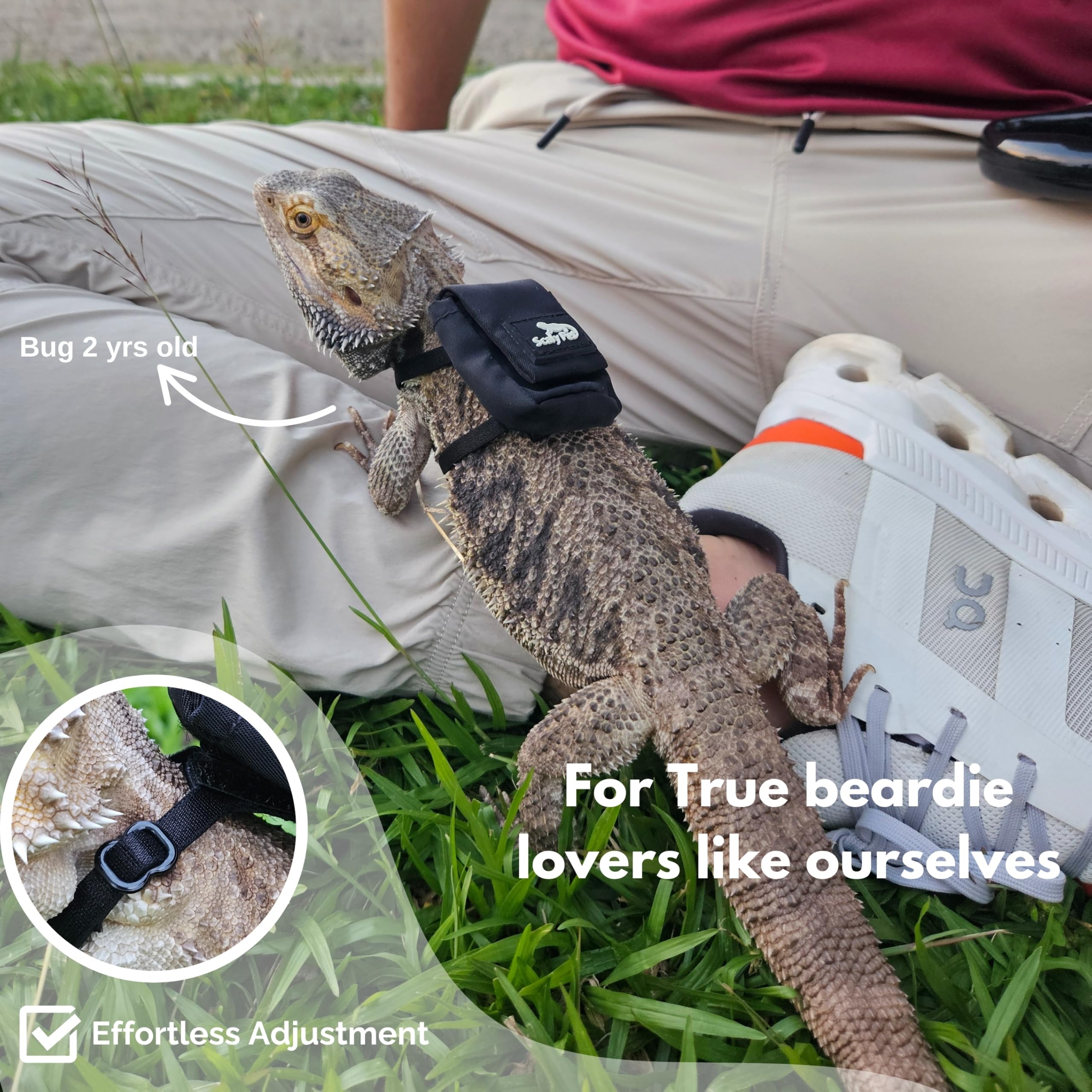 Scaly Pet backpack-attachment lets lizards carry small items on outings.