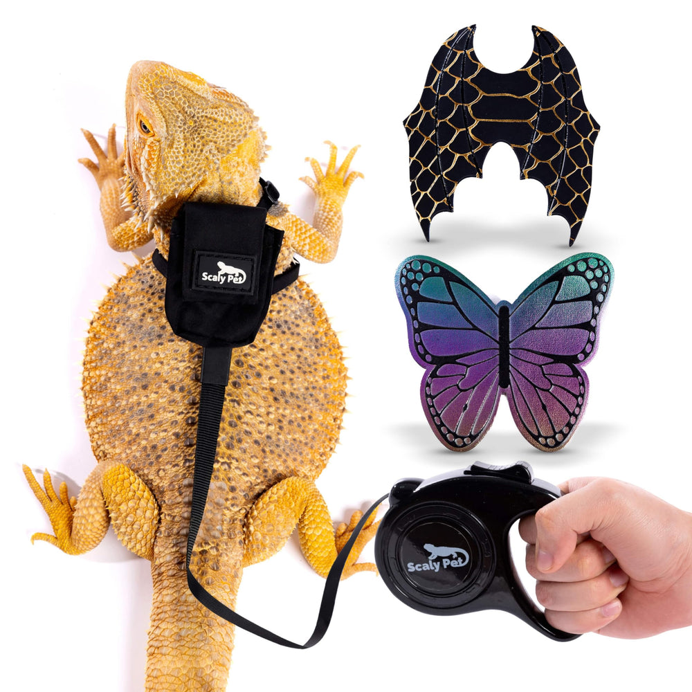 Scaly Pet bearded dragon harness adjustable fit for comfortable outdoor adventures.