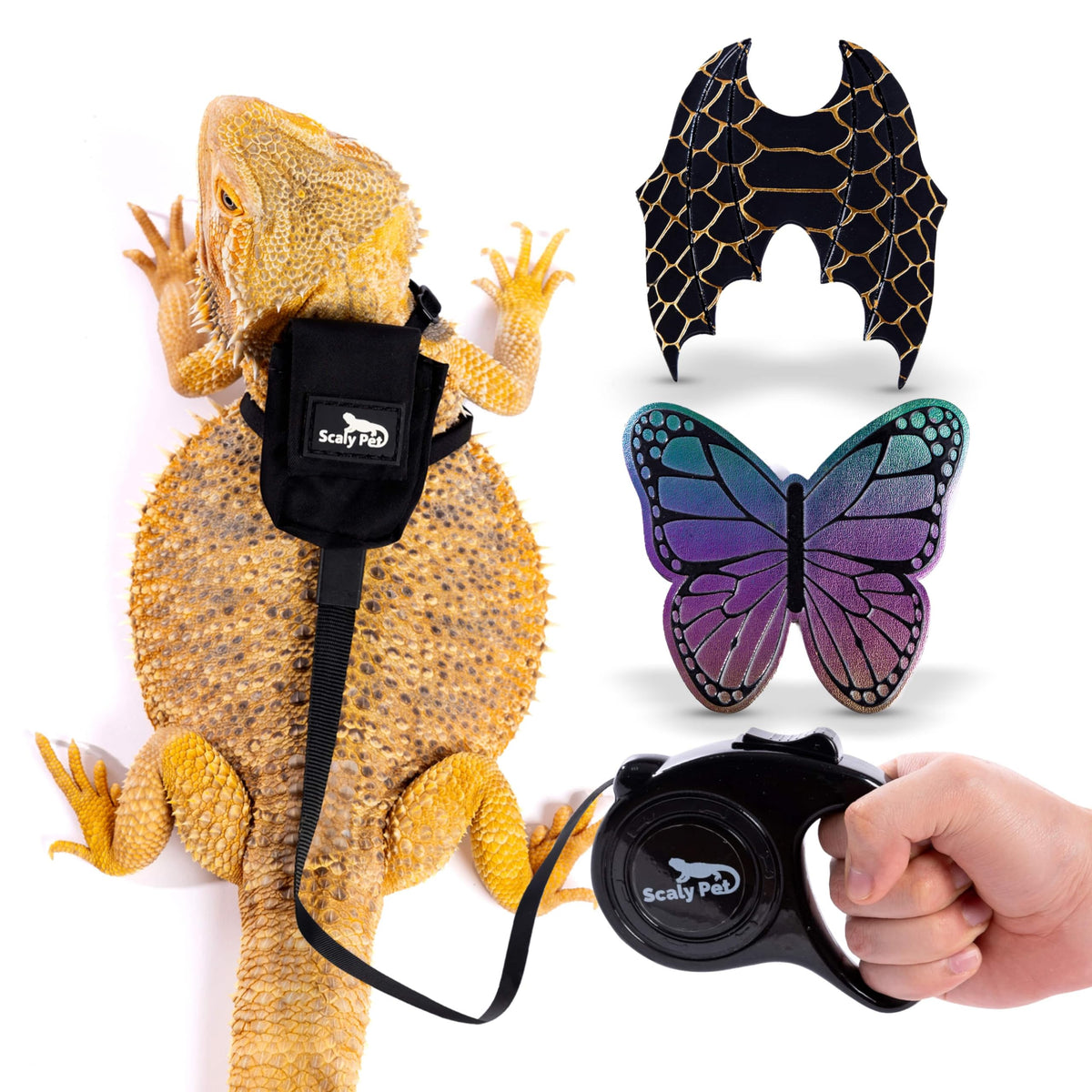 Scaly Pet bearded dragon harness adjustable fit for comfortable outdoor adventures.