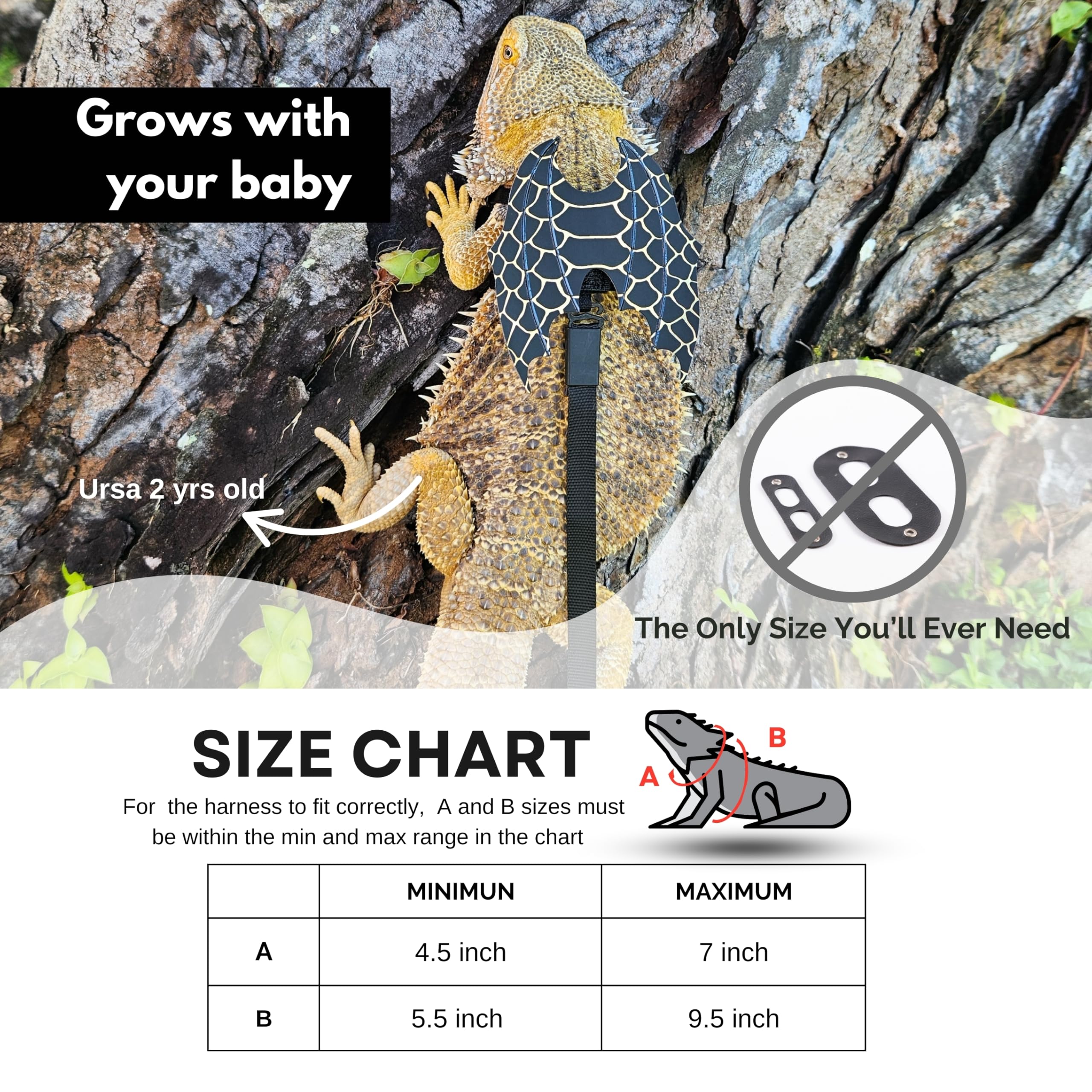 Scaly Pet escape-proof-leash set ensures snug fit with quick adjustability.